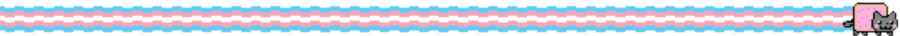 trans nyan cat divider